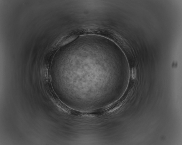 X0000090631155200707171441