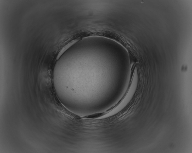X0000090631156200707171441