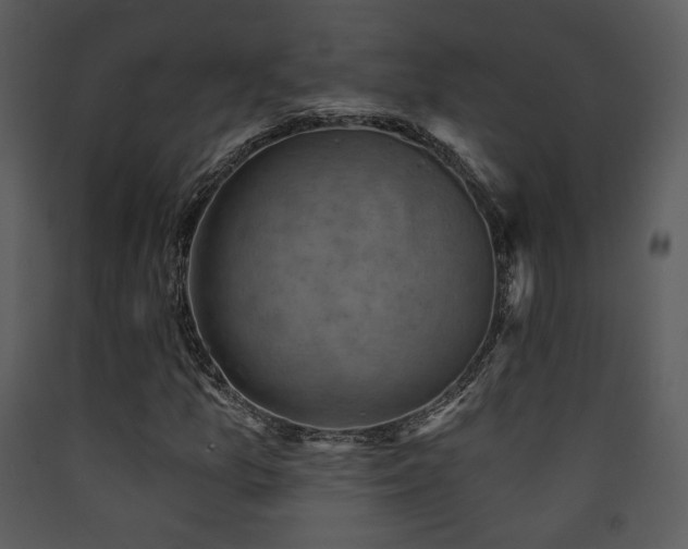 X0000090631157200707171441
