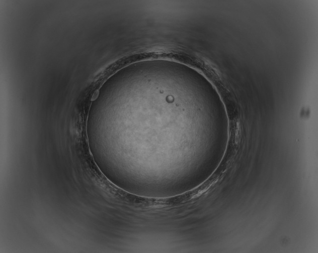 X0000090631158200707171441