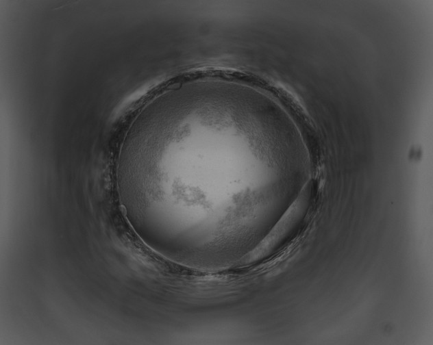 X0000090631159200707171441