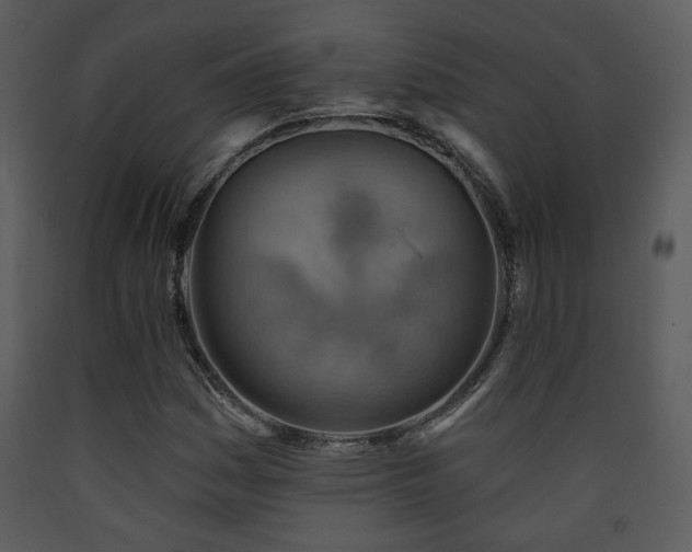 X0000090631161200707171441