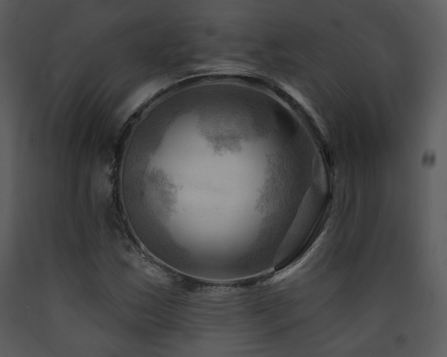 X0000090631163200707171441