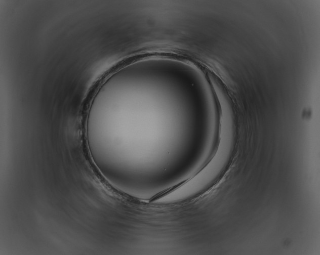 X0000090631164200707171441