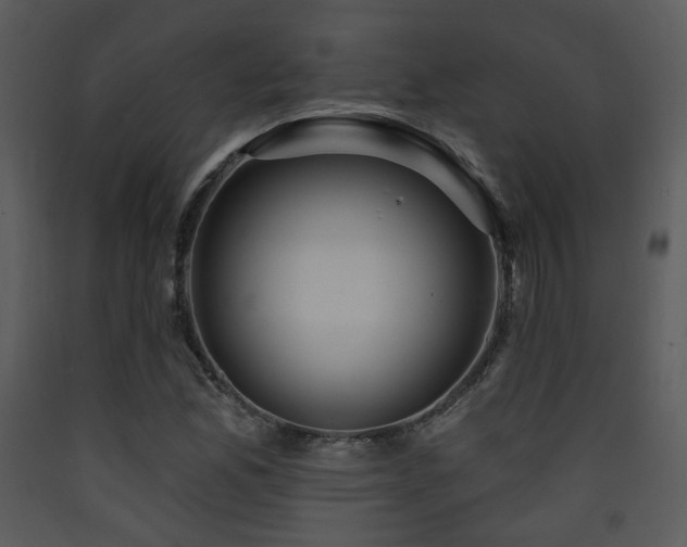 X0000090631165200707171441