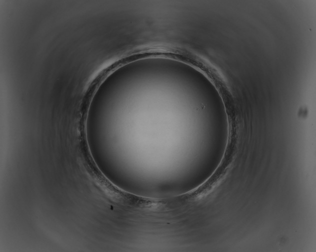 X0000090631166200707171441