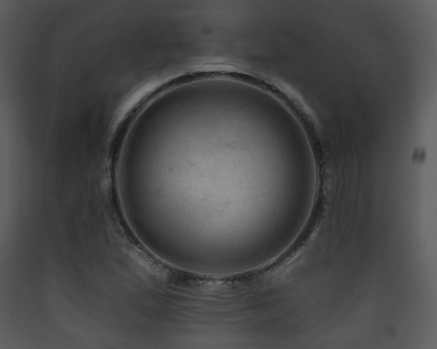 X0000090631167200707171441