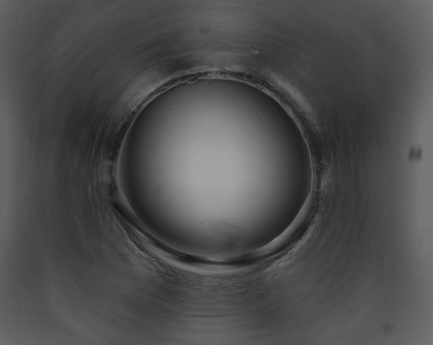 X0000090631169200707171441