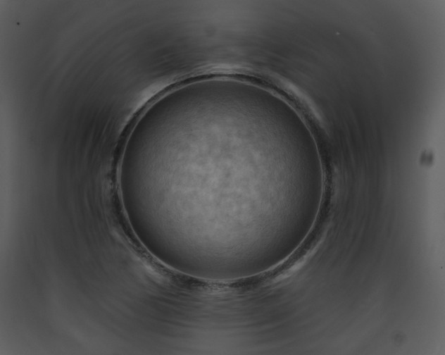X0000090631170200707171441