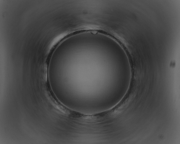 X0000090631171200707171441