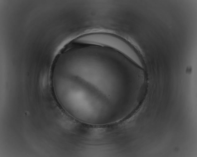 X0000090631173200707171441