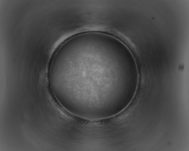X0000090631174200707171441