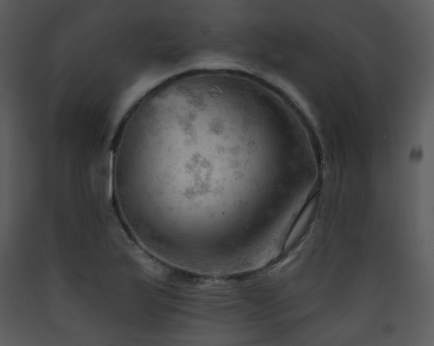 X0000090631175200707171441