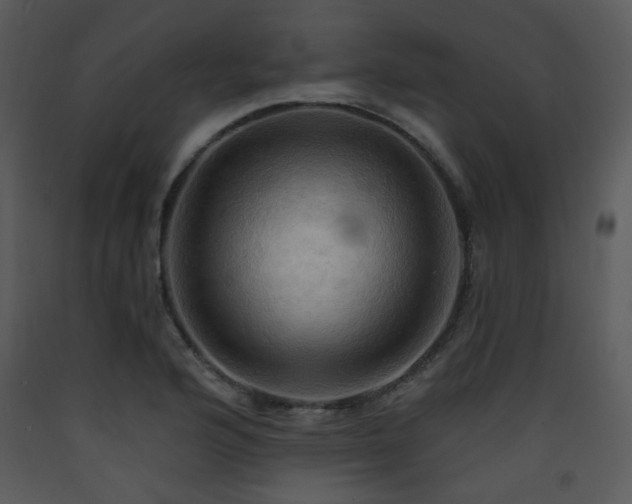 X0000090631176200707171441