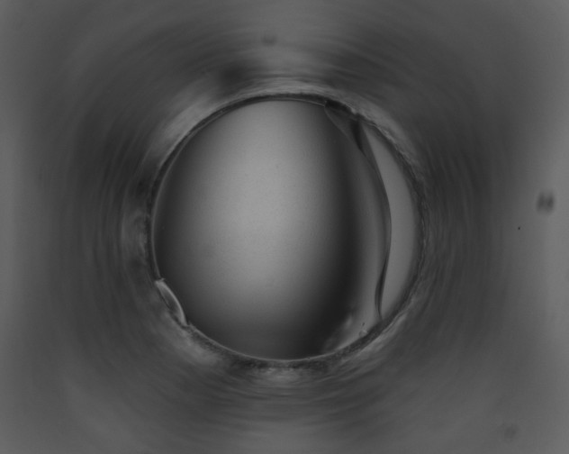X0000090631177200707171441
