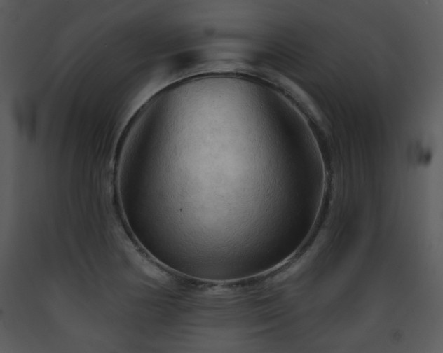 X0000090631178200707171441