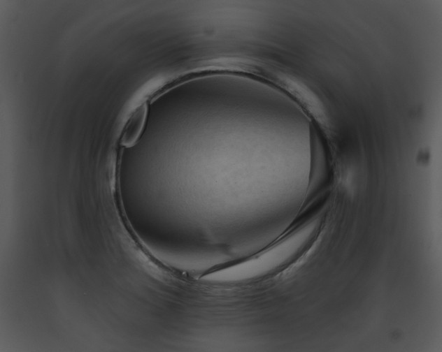 X0000090631180200707171441