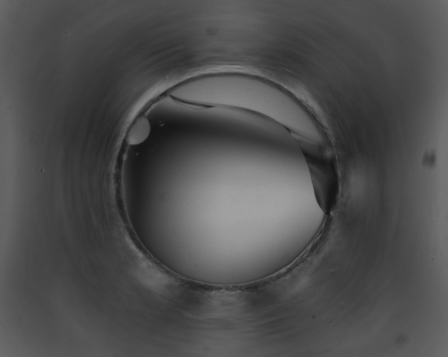 X0000090631181200707171441