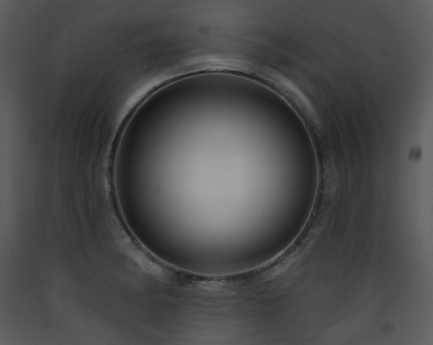 X0000090631182200707171441