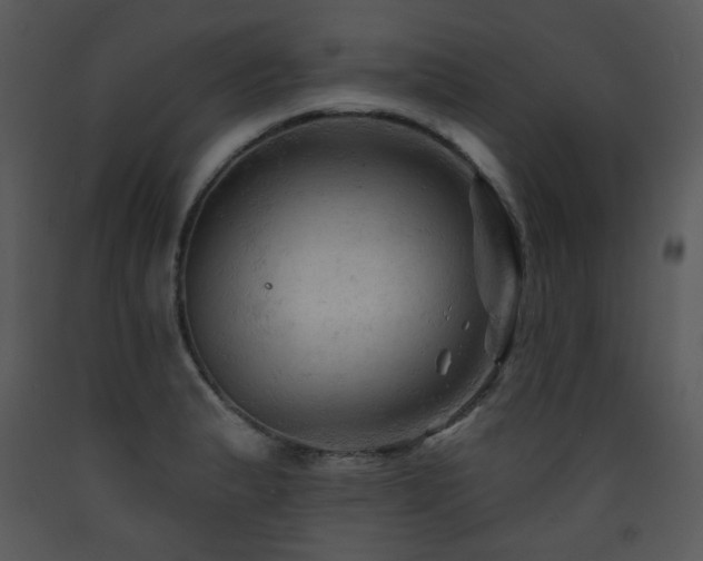 X0000090631183200707171441