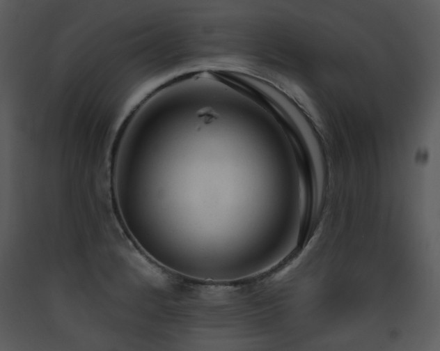 X0000090631184200707171441