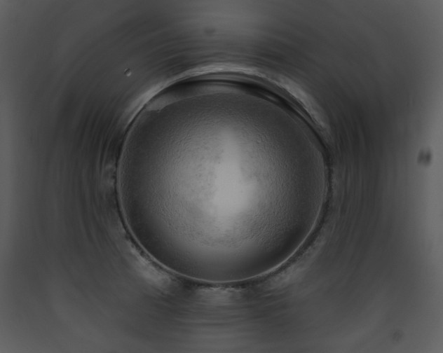 X0000090631185200707171441