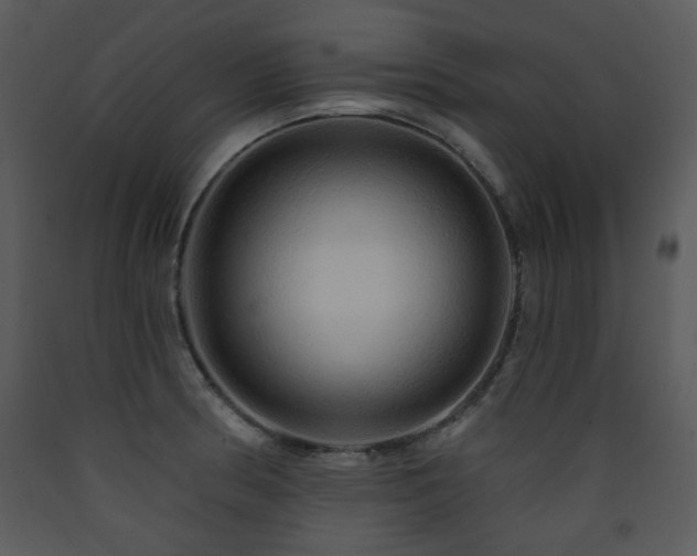X0000090631186200707171441