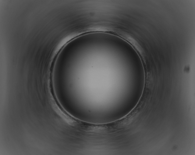X0000090631187200707171441