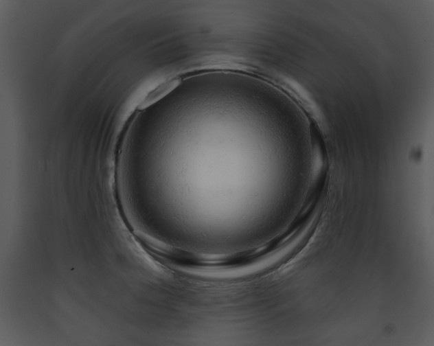 X0000090631188200707171440