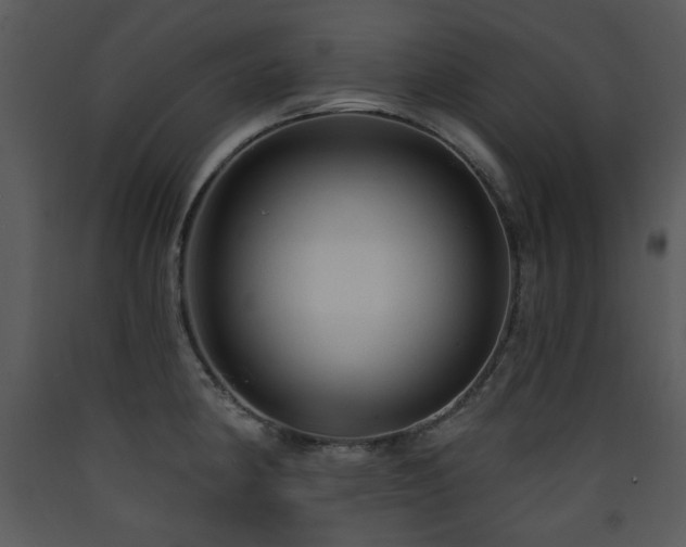 X0000090631190200707171440