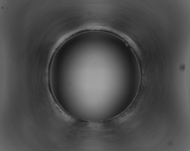 X0000090631191200707171440