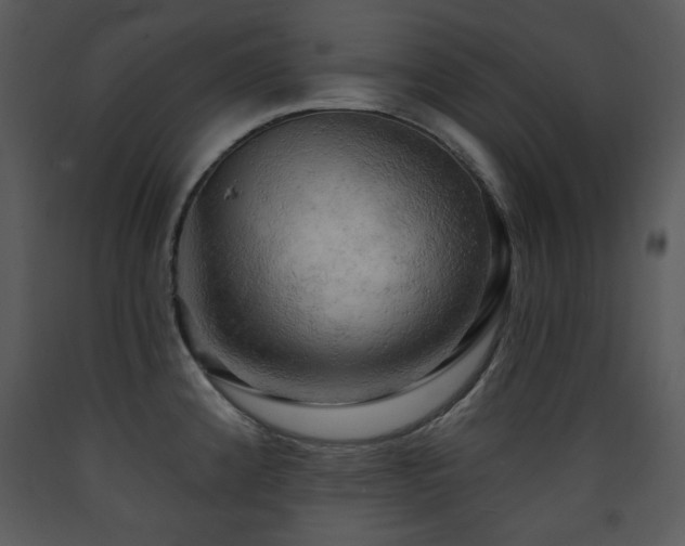 X0000090631192200707171440