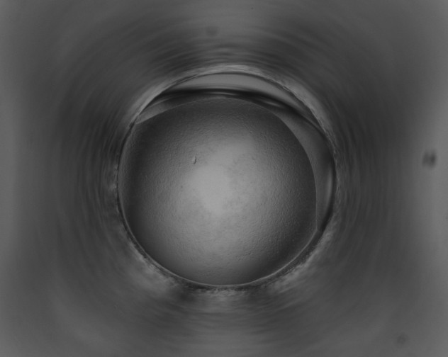 X0000090631193200707171440