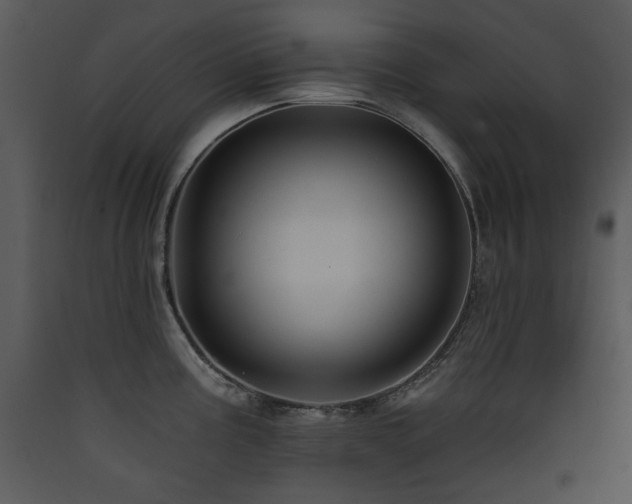 X0000090631195200707171440