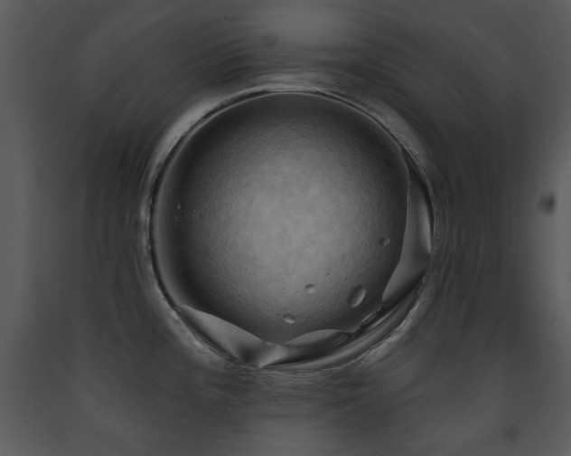 X0000090631196200707171440