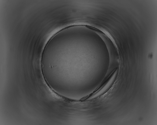 X0000090631197200707171440