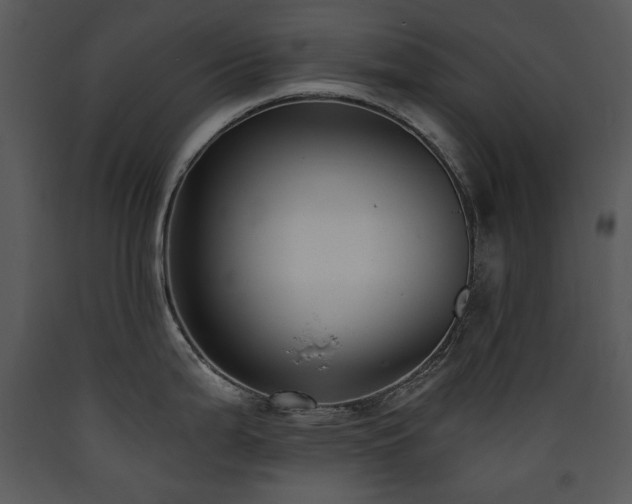 X0000090631199200707171440