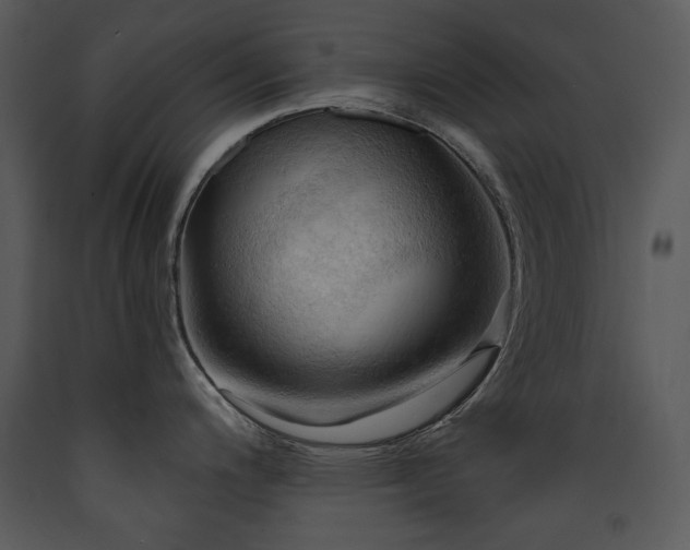 X0000090631200200707171440