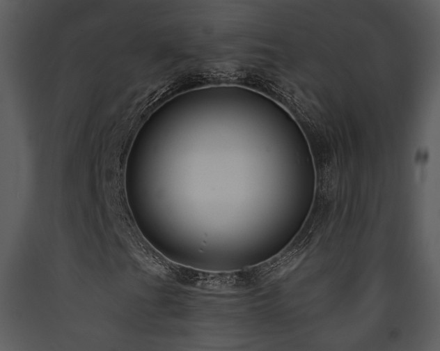 X0000090631201200707171440