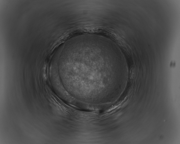 X0000090631202200707171440