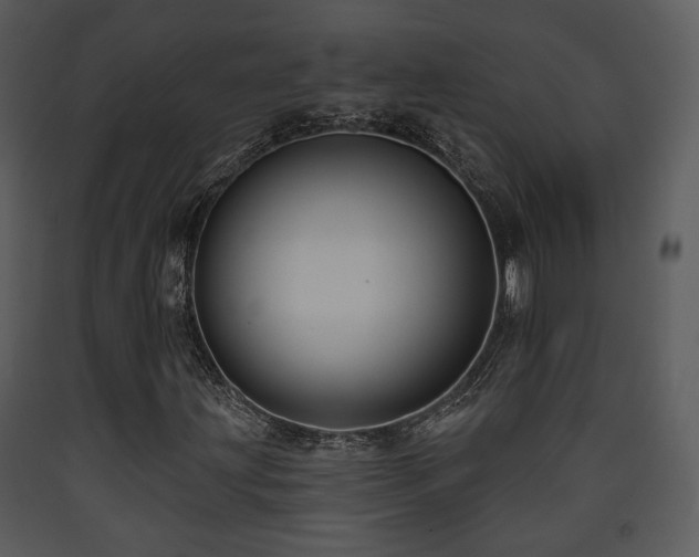 X0000090631203200707171440