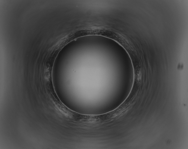 X0000090631204200707171440