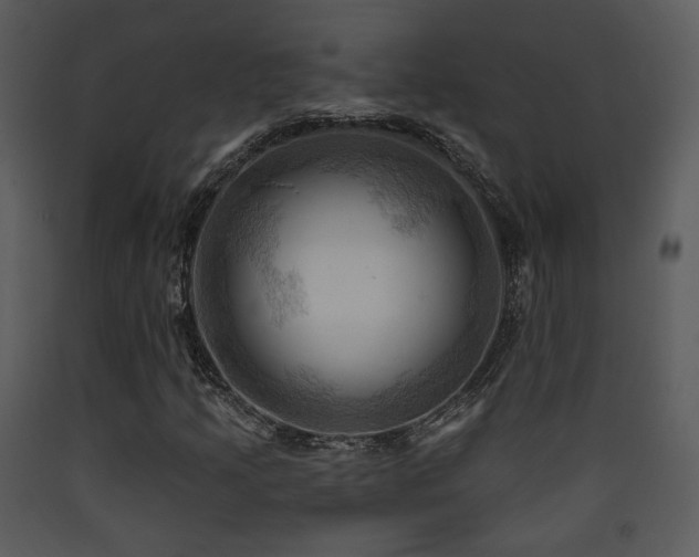 X0000090631205200707171440