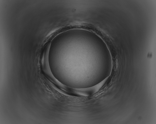 X0000090631206200707171440