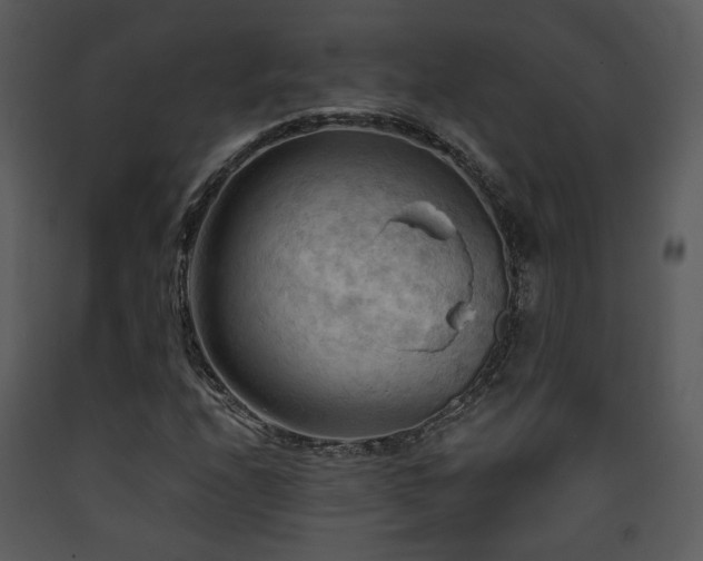 X0000090631208200707171440