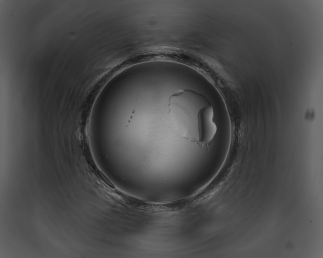 X0000090631209200707171440