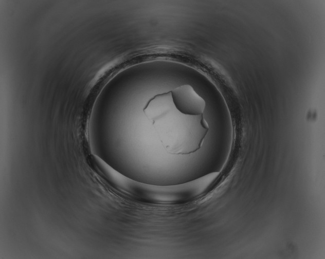 X0000090631210200707171440