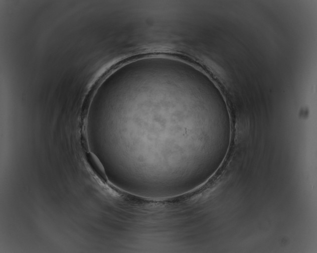 X0000090631212200707171440