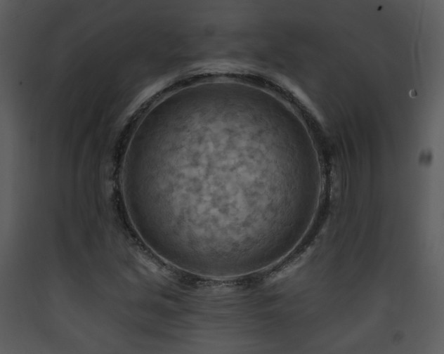 X0000090631213200707171440