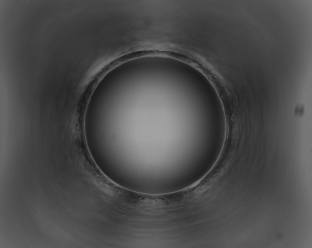X0000090631215200707171440